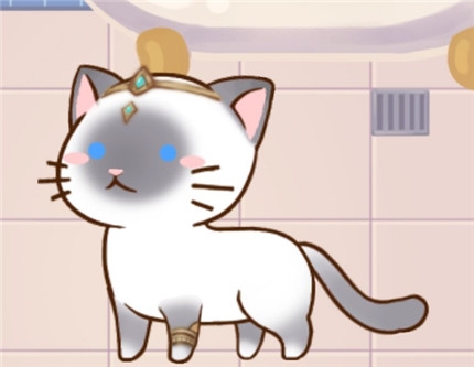 猫宅97图