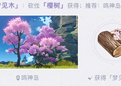 原神梦见木怎么得 获得方式分享