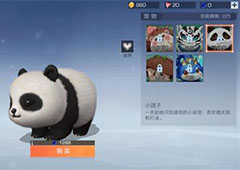 风云岛行动宠物有什么用 宠物大全图鉴介绍