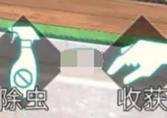 星火之歌种菜怎么玩 庇护所玩法介绍