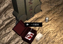 孙美琪疑案DLC14周芳一只眼球线索获得方法