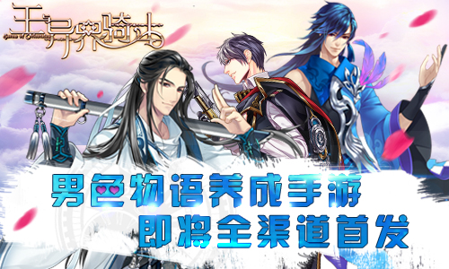 王与异界骑士图片1