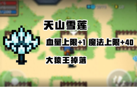 元气骑士天山雪莲图