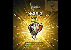 黑暗料理王北极贝贝图鉴 北极贝贝组合形状及产出食材攻略