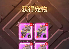 不休的乌拉拉斗士带什么宠物 斗士的宠物选择推荐
