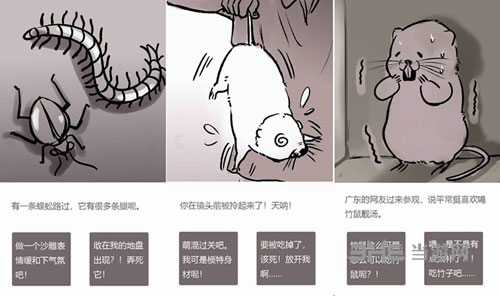竹鼠活下去截图1