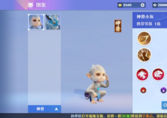 梦幻新诛仙神兽小灰怎么样 灵兽技能属性介绍