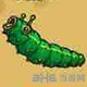 黑暗料理王冬瓜凤蝶幼虫图片