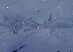 天涯明月刀手游雪狐任务怎么做 雪狐捕捉技巧攻略
