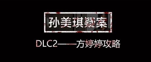 孙美琪疑案方婷婷图