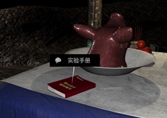 孙美琪疑案DLC14周芳实验手册1线索获得方法