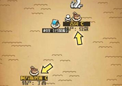 小小航海士外传丁香在哪里 购买地点介绍