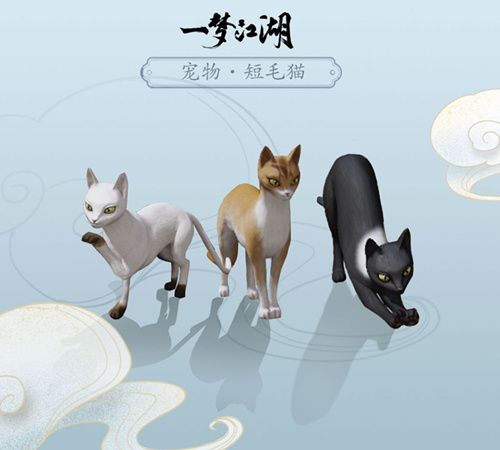 一梦江湖新宠物短毛猫