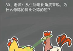 史小坑的烦恼4囧校园第80关怎么过 第80关关卡攻略