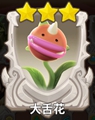 大舌花