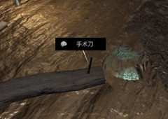 孙美琪疑案DLC14周芳手术刀线索获得方法
