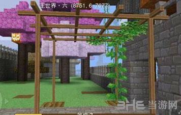 奶块百香果种植方法截图4
