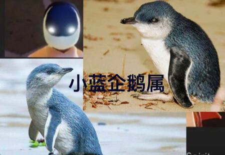 光遇图片2