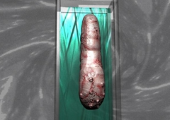 孙美琪疑案DLC14周芳生门一号线索获得方法