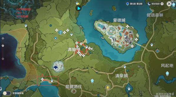 原神小灯草采集路线图