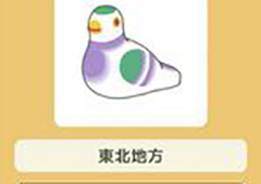 旅行青蛙鸠笛属性介绍 珍品鸠笛怎么样