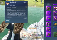 妄想山海锦鲤怎么得 锦鲤鱼苗获取方法介绍