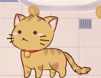 猫宅97图