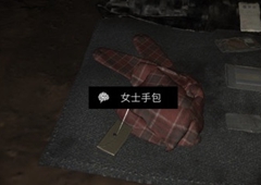 孙美琪疑案DLC张红君女士手包线索位置介绍