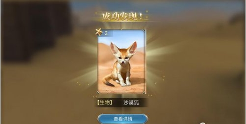 大航海之路沙漠精灵任务3