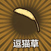 牧羊人之心逗猫草图片