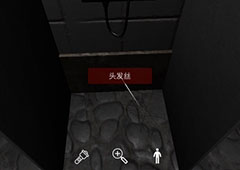 孙美琪疑案开发商DLC何氏汤泉线索头发丝获取方法详解