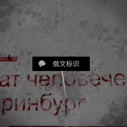 孙美琪疑案DLC王爱国俄文标识