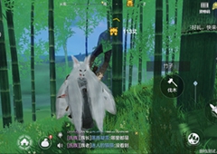 妄想山海竹子在哪里 各地区分布位置详解