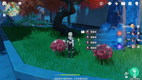 原神霓裳花图片