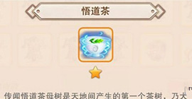 想不想修真悟道茶怎么用 作用效果攻略