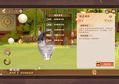 忘川风华录奶牛猫喜欢什么 奶牛猫问答选择攻略