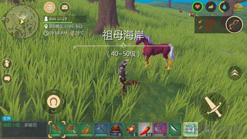 创造与魔法火马图片2