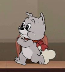 猫和老鼠