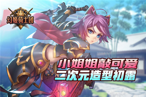 幻姬骑士团图片1