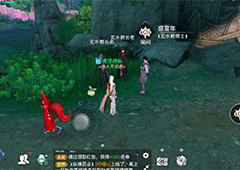 天谕手游旷野石影怎么完成 冒险任务完成攻略