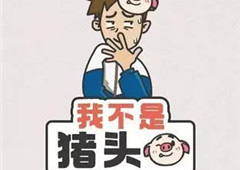 我不是猪头全关卡通关攻略大全 1-425关卡答案汇总