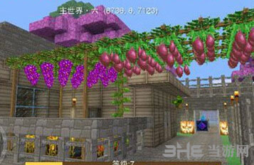 奶块百香果种植方法截图5