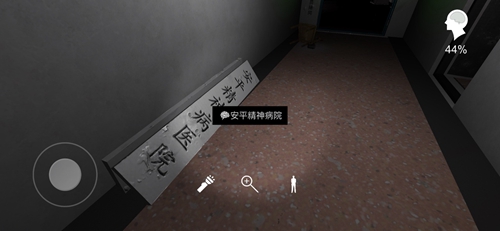孙美琪疑案方婷婷安平精神病院图