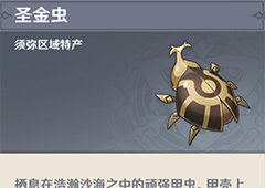 原神圣金虫在哪采集 圣金虫位置分布图