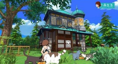 小森生活 小森生活猫2