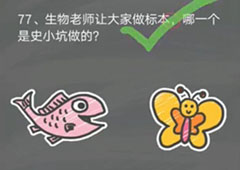 史小坑的烦恼4囧校园第77关怎么过 第77关关卡攻略