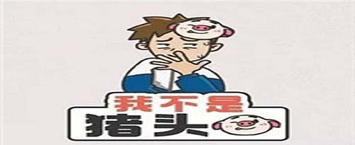 我不是猪头第207关图