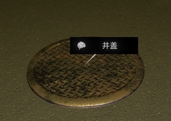 孙美琪疑案金凤凰井盖线索获取方法
