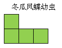 黑暗料理王冬瓜凤蝶幼虫组合形状图案