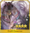 FGO泳装三期第七日夜配置1